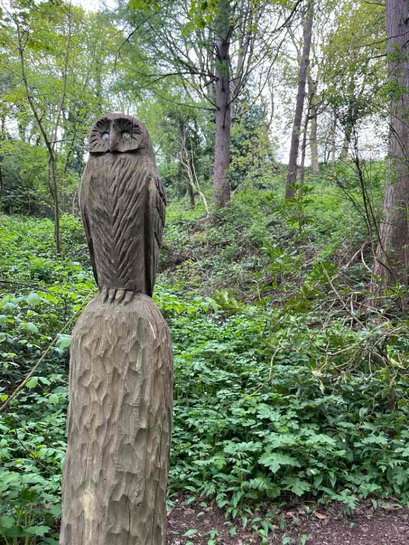 walking near me in Peasholm Park in spring