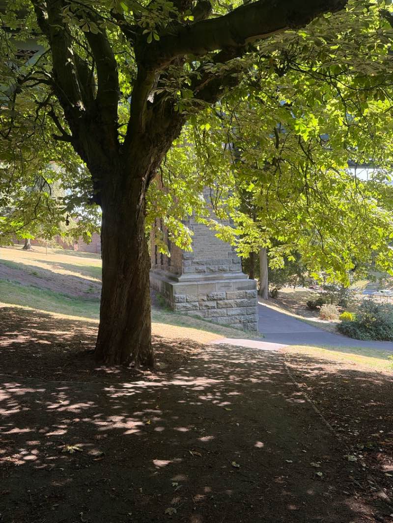 walking near me in St Nicholas Gardens in summer