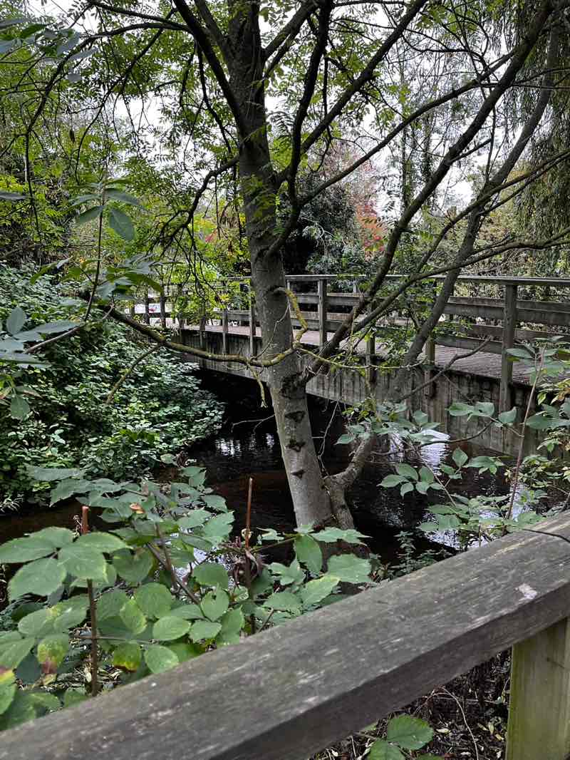 walking near me in Stanborough Park in autumn