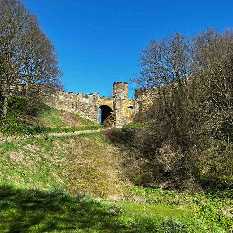 WALKS/RUNS & ANYTHING FITNESS! Paul post image