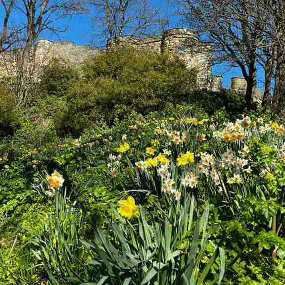 WALKS/RUNS & ANYTHING FITNESS! Paul post image