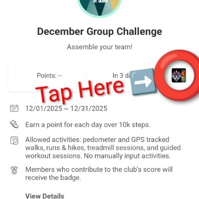 Mountain Girl Diamonds Of Earth Rhonda💕🙏💎 post image