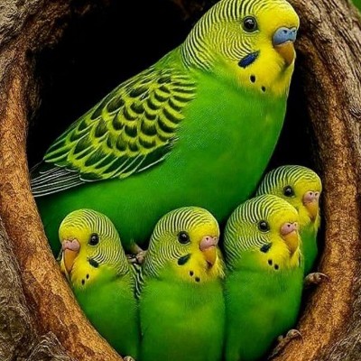 Rhonda💕🙏💎 post 3