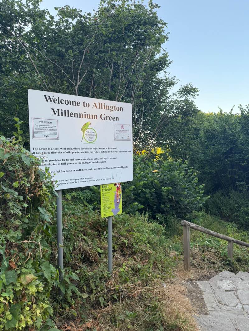 walking near me in Allington (Millennium Green) in summer