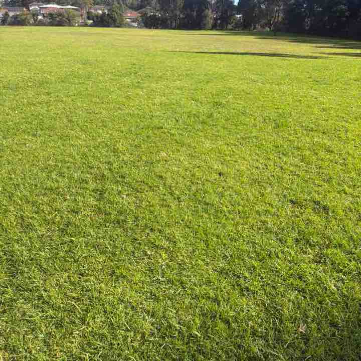 Me post 1