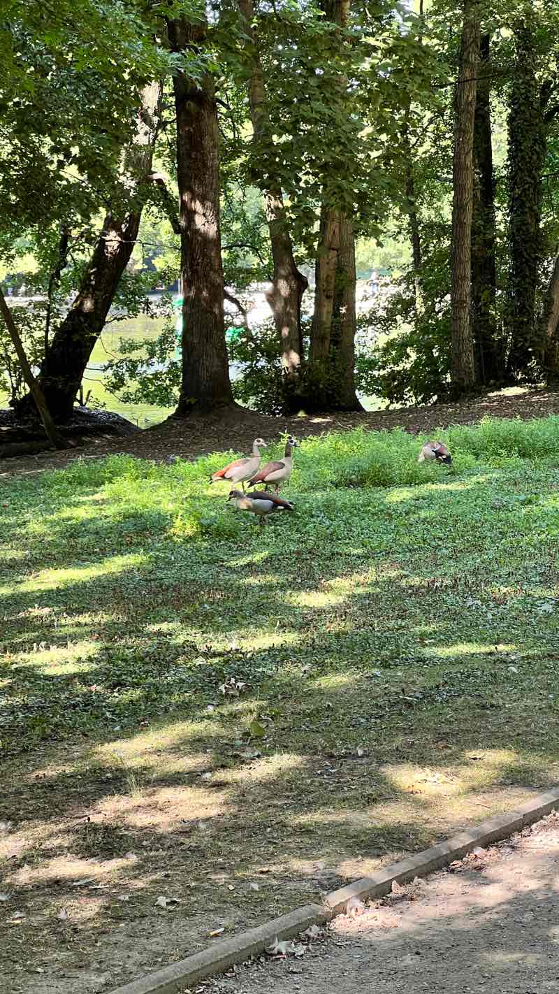 walking near me in Kaiser-Friedrich-Park in winter