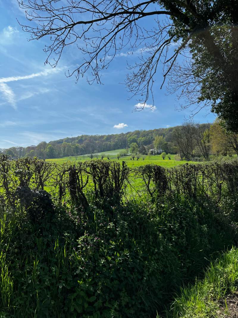walking near me in Müschpark in winter