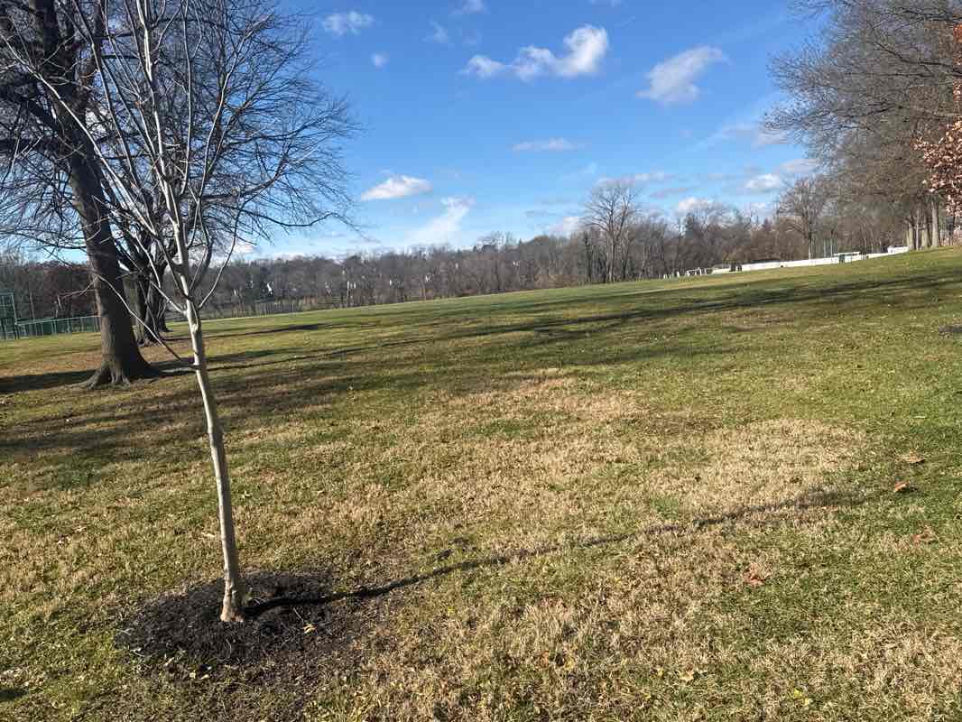 walking near me in Warren Filipone Memorial Park in winter