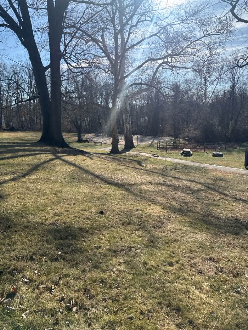 walking near me in Strafford Park & Library in winter