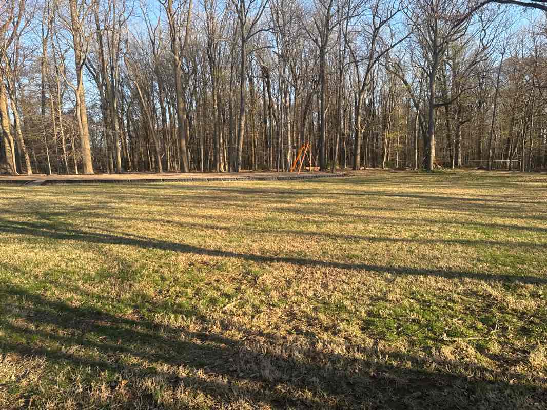 walking near me in Berwyn Park in spring