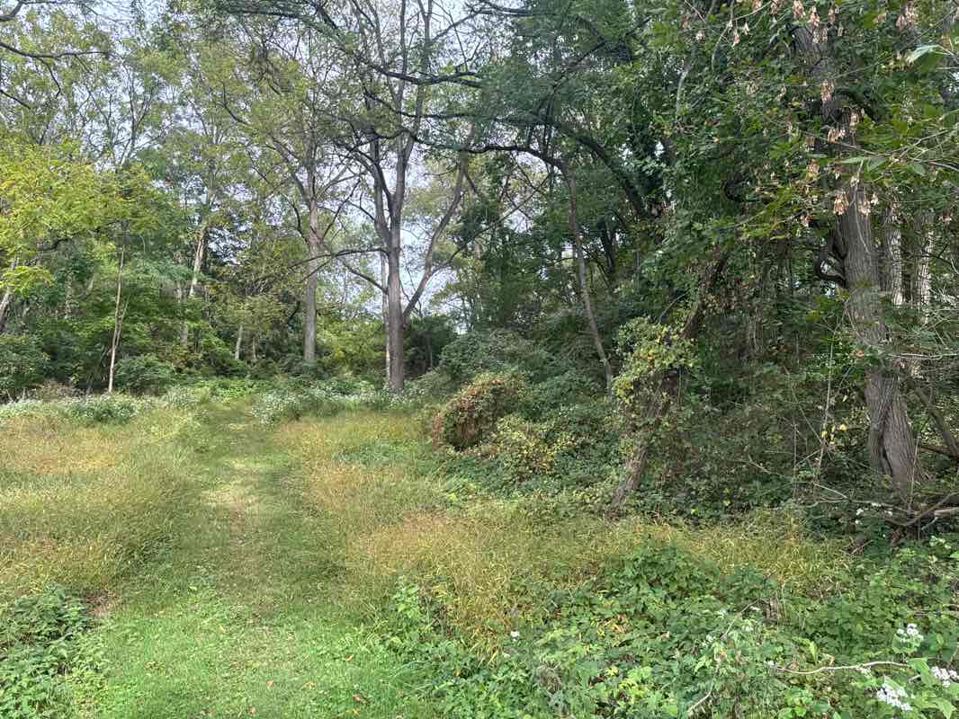 walking near me in Westover Park in autumn