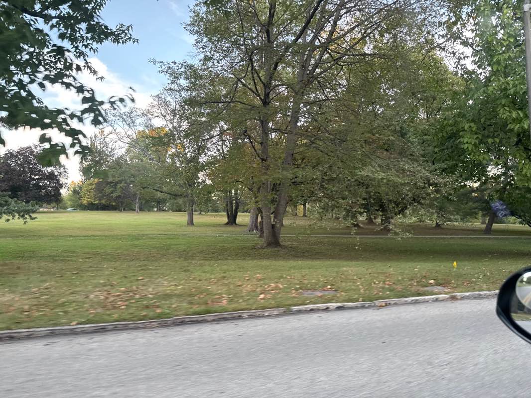 walking near me in Ashbridge Park in autumn