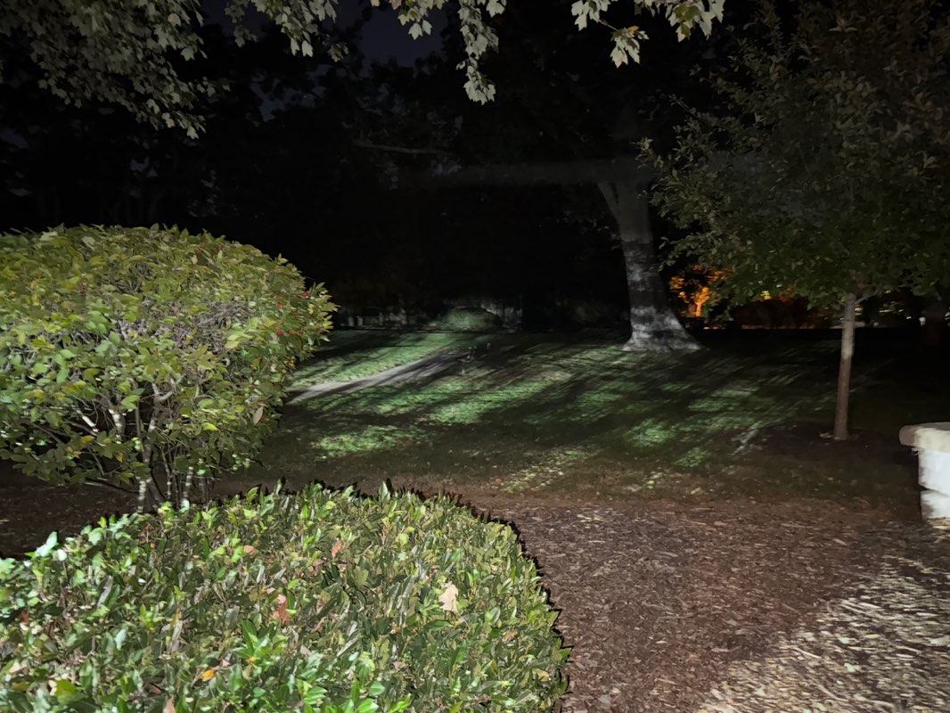 walking near me in Tunnell Field in autumn