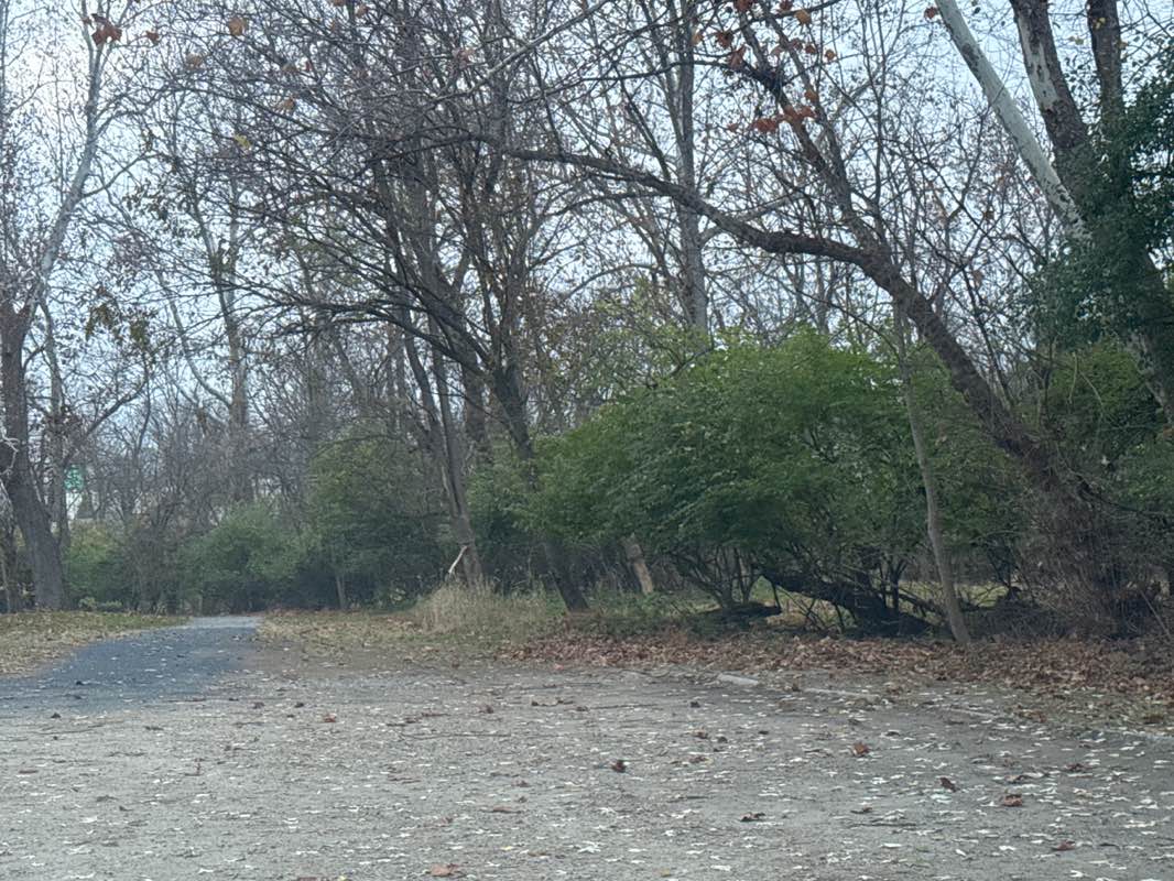 walking near me in Ecology Park in autumn
