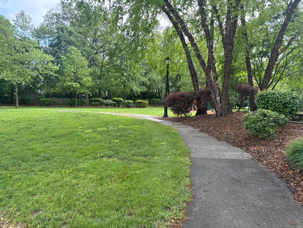 walking near me in St. David's Community Park in spring