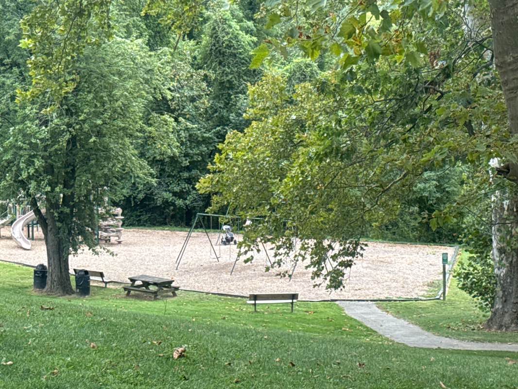 walking near me in Strafford Park & Library in autumn