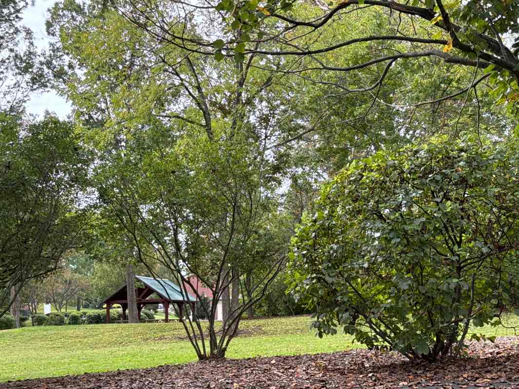 walking near me in Environmental Park in autumn