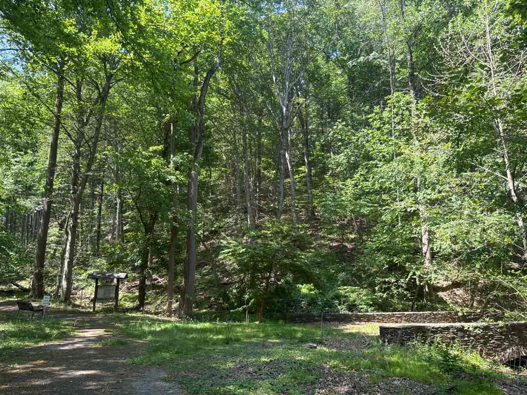 walking near me in Crabby Creek Park in summer