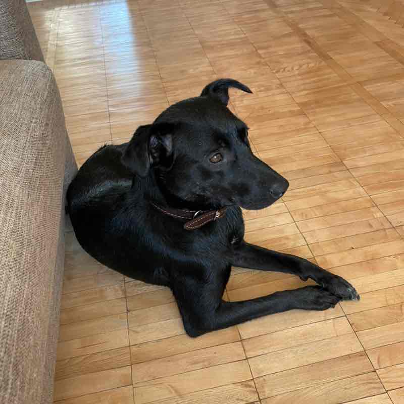 IrinaPugina 🏊‍♀️🏃‍♀️🚴🤸 post 2