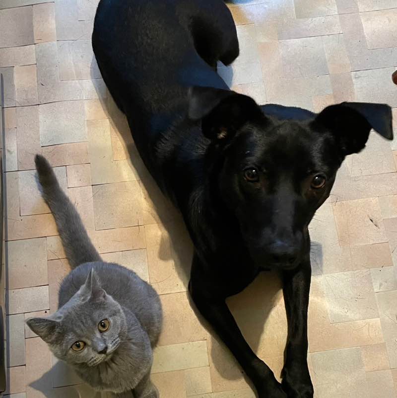 IrinaPugina 🏊‍♀️🏃‍♀️🚴🤸 post 3