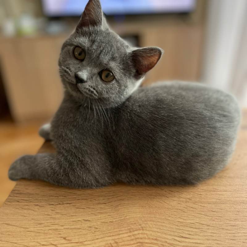 IrinaPugina 🏊‍♀️🏃‍♀️🚴🤸 post 1