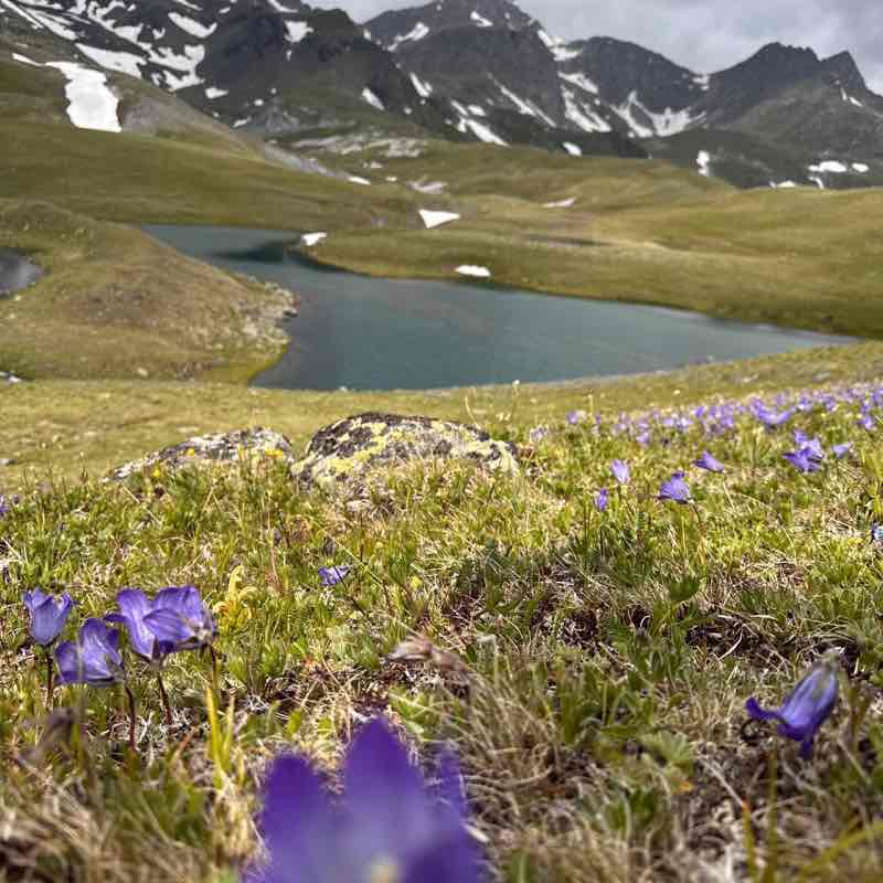 IrinaPugina 🏊‍♀️🏃‍♀️🚴🤸 post 2