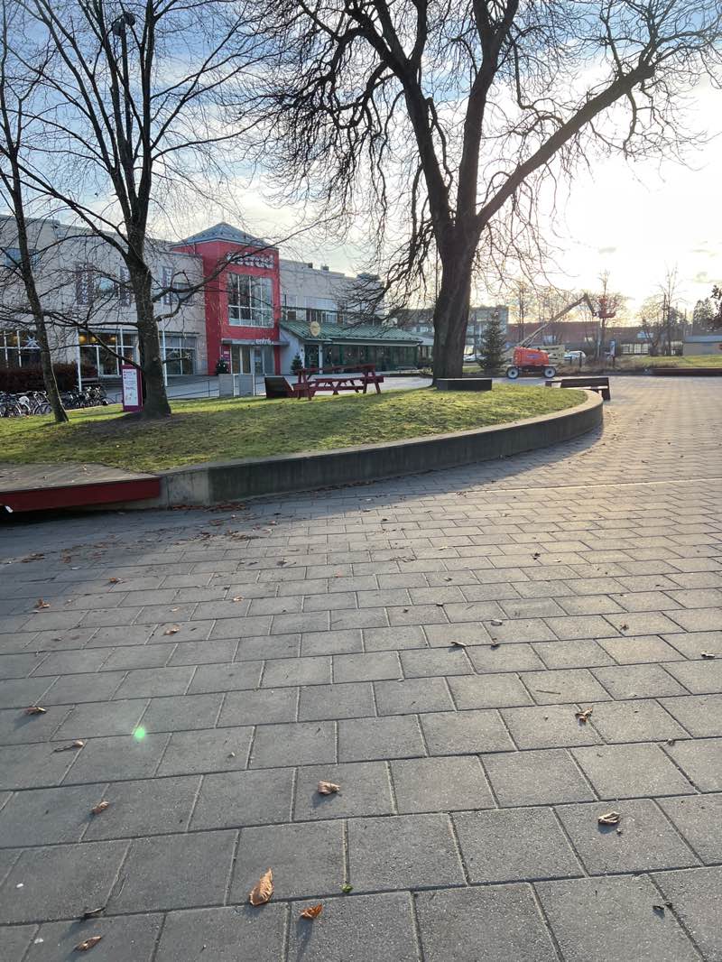 walking near me in Åmanska parken in autumn