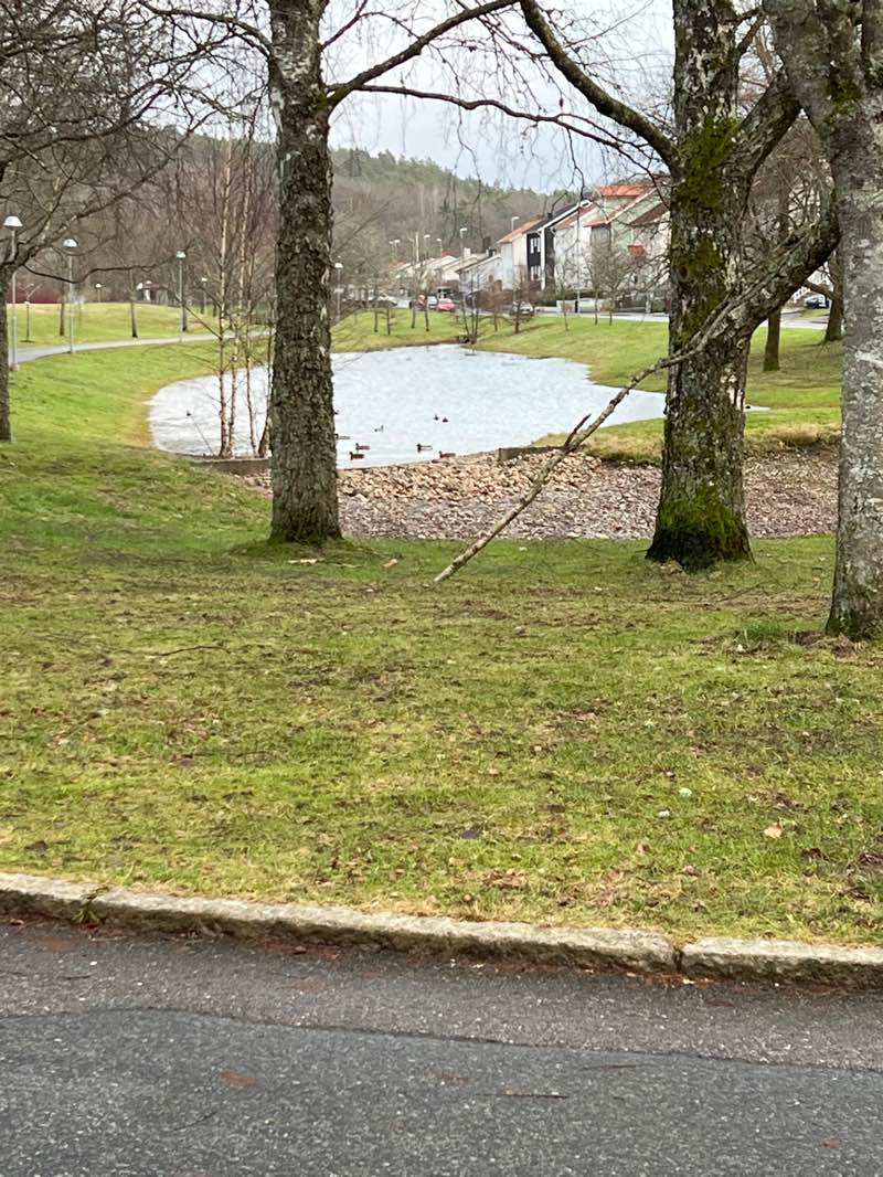 walking near me in Linnebäcksparken in winter