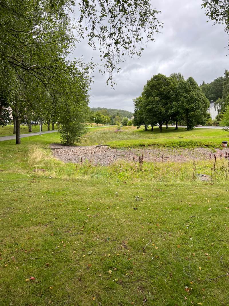 walking near me in Linnebäcksparken in autumn