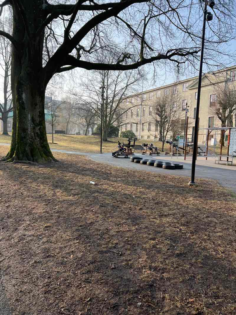 walking near me in Chalmerska Vasaparken in spring