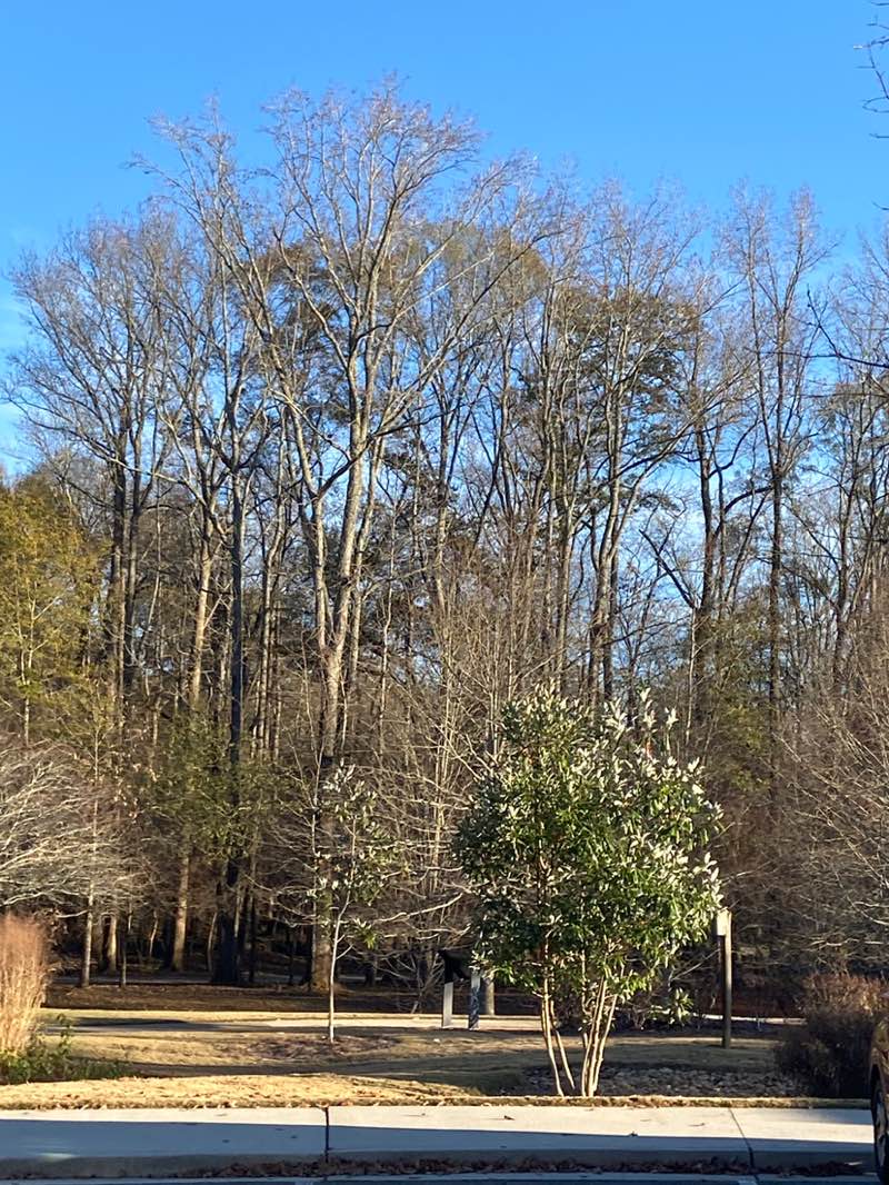 walking near me in Greenway park in autumn