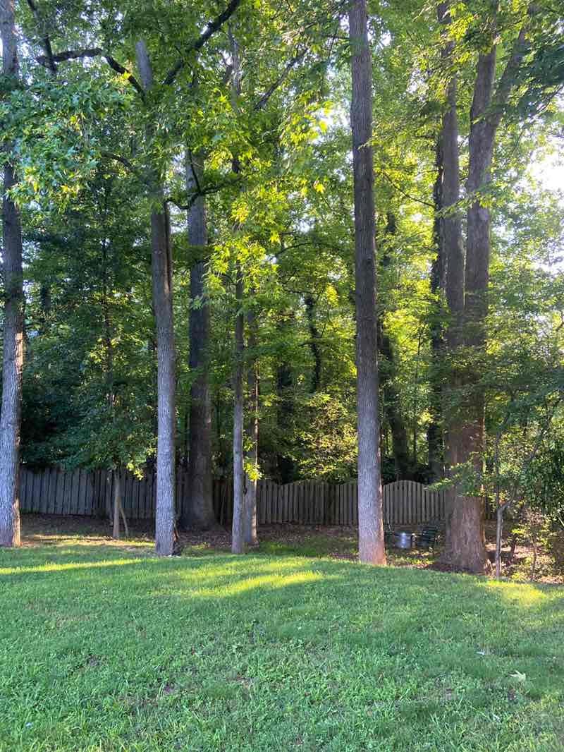 walking near me in Ocee Park in summer