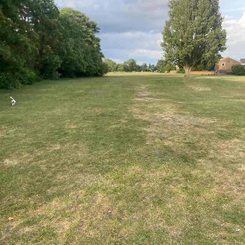 Peter Joicey 🇬🇧 post 1