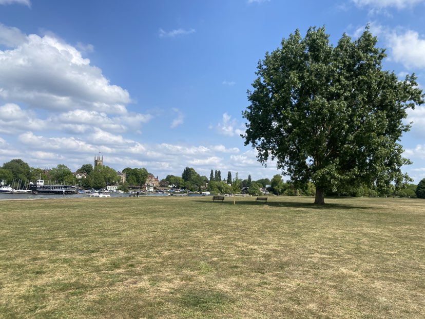 walking near me in Hurst Park in spring