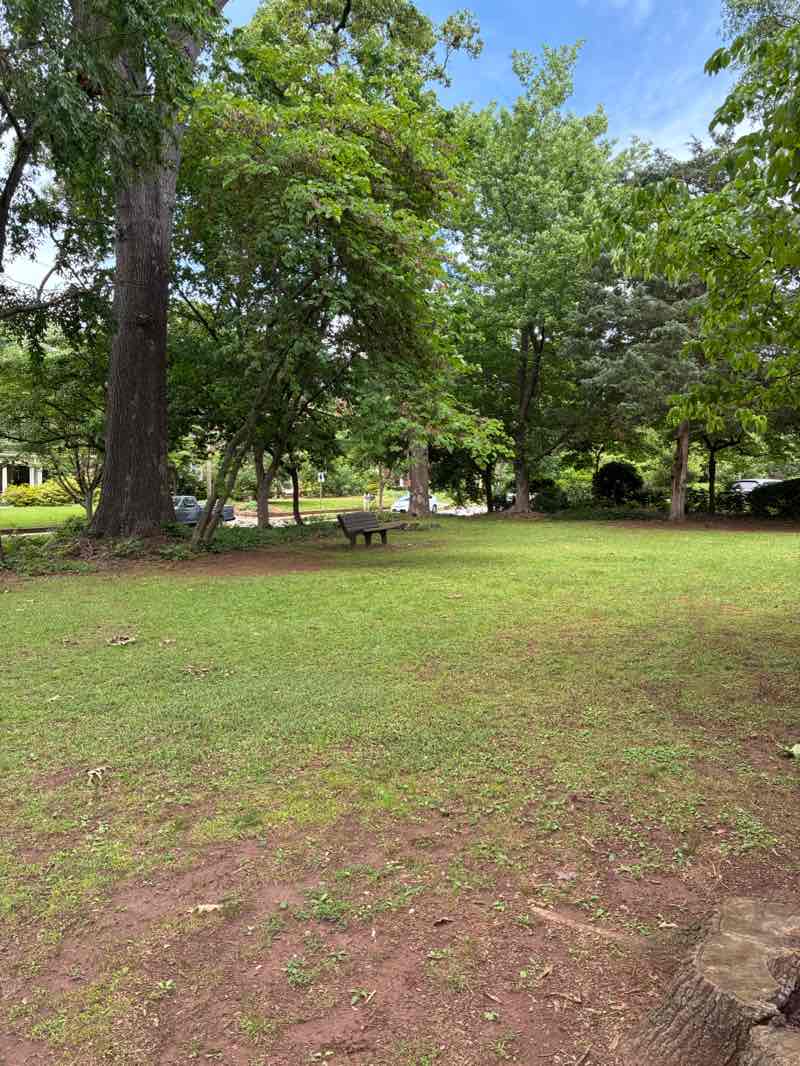walking near me in Sycamore Park in spring