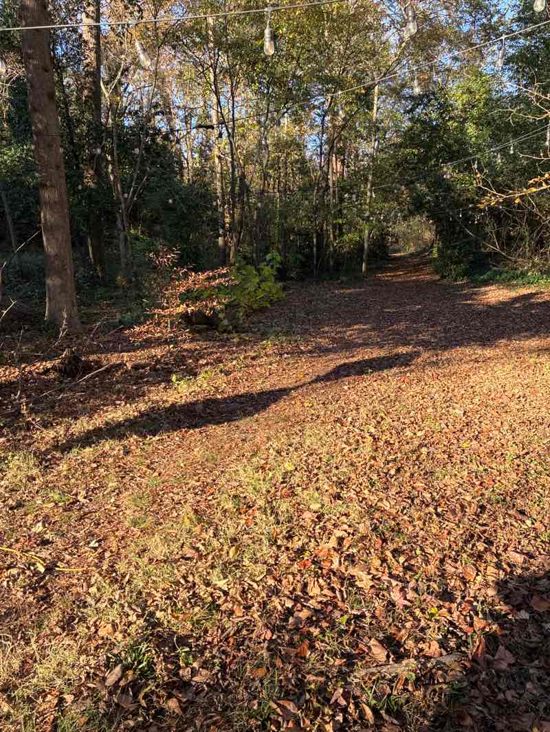 walking near me in Winnona Park in autumn