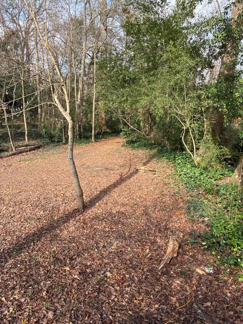 walking near me in Winnona Park in winter