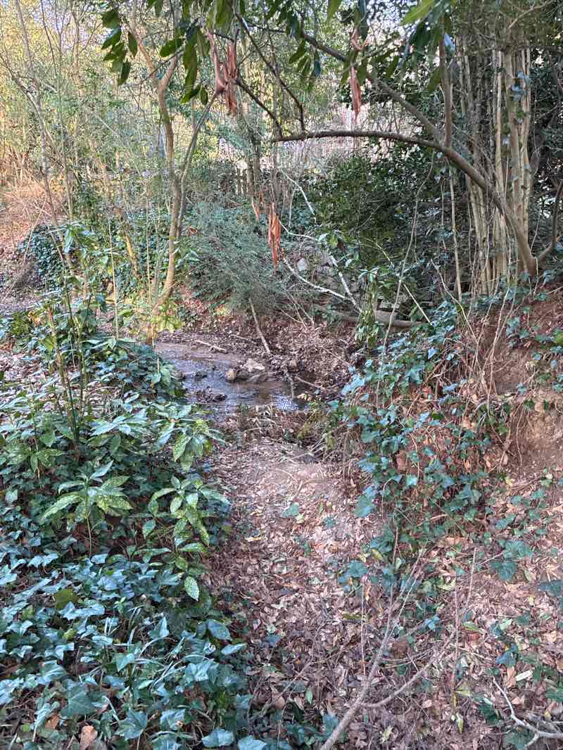 walking near me in Winnona Park in winter