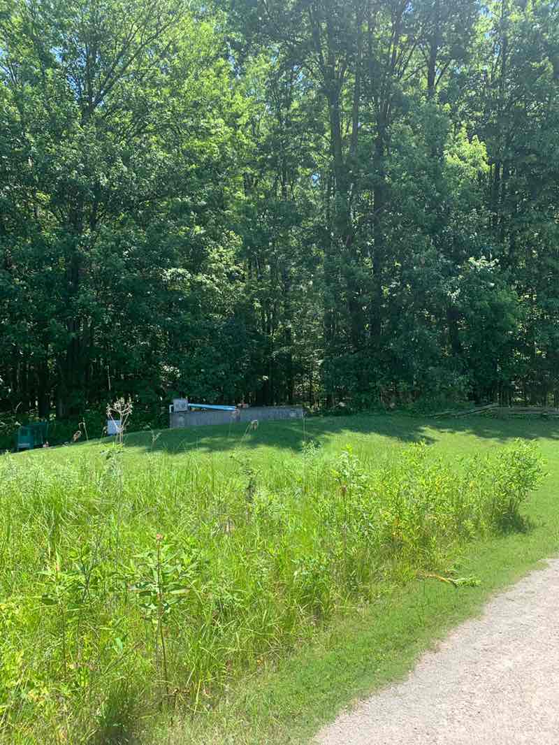 walking near me in Sandy Ridge Reservation in summer