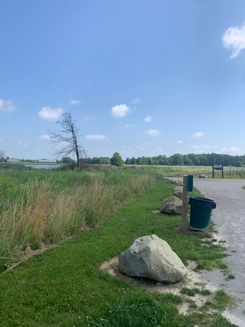walking near me in Medina County Park District Avon Lake Road Property (Undeveloped Site) in summer