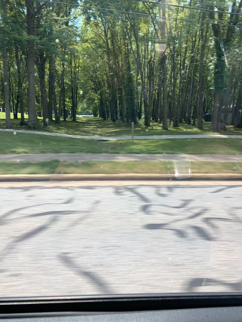 walking near me in South Central Park in autumn