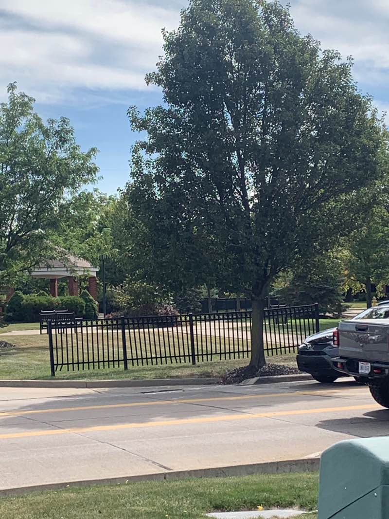 walking near me in Chestnut Commons Park in autumn