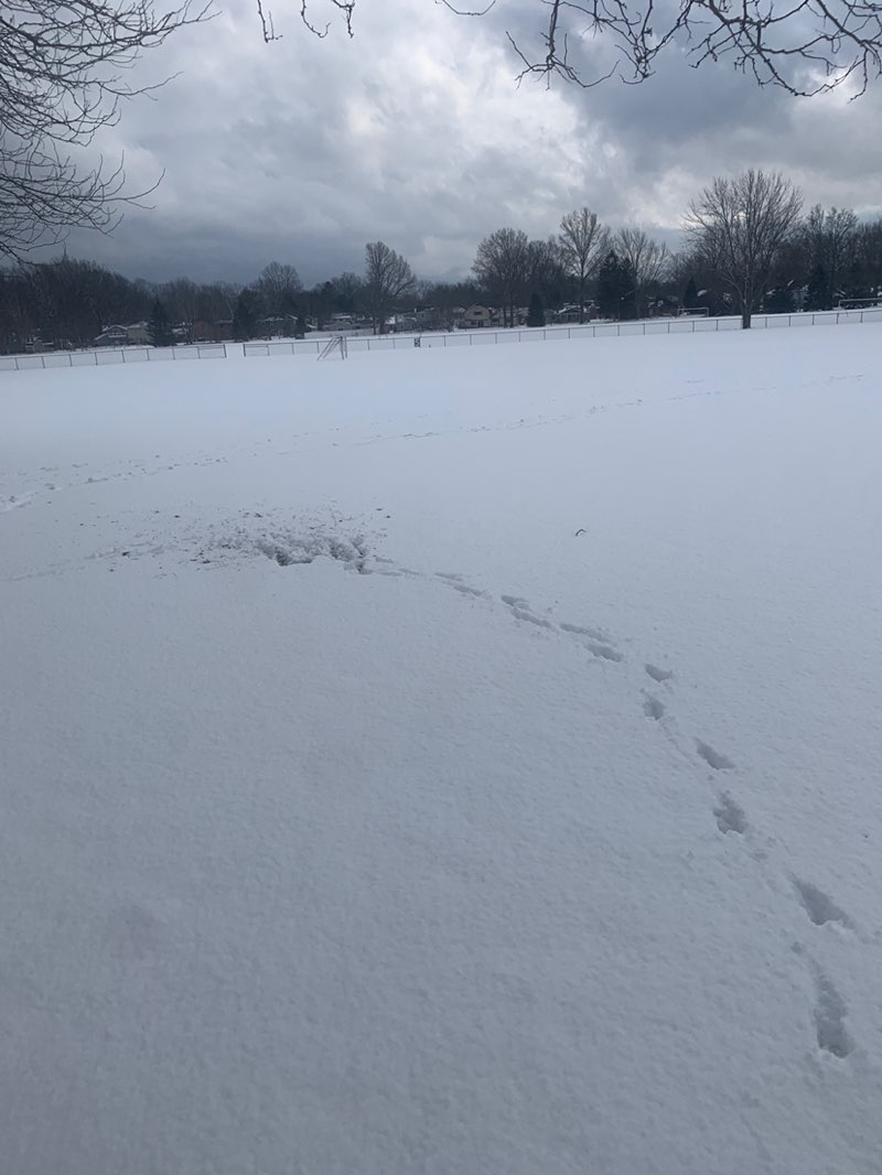 walking near me in Barton-Bradley Recreation Field in winter
