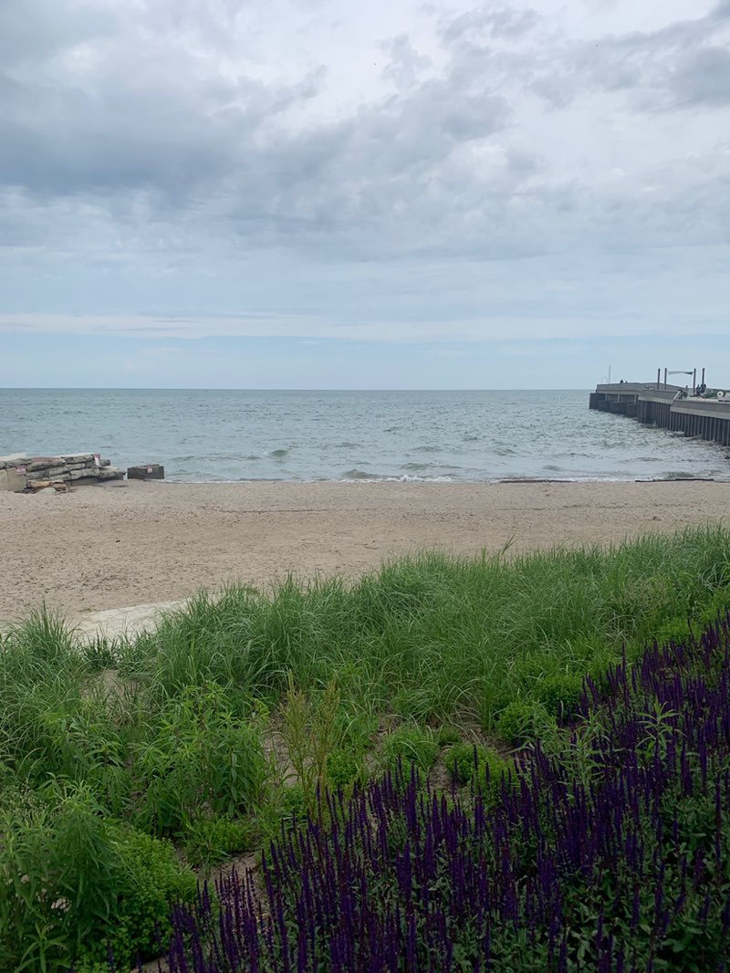 walking near me in Bradstreet's Landing in summer