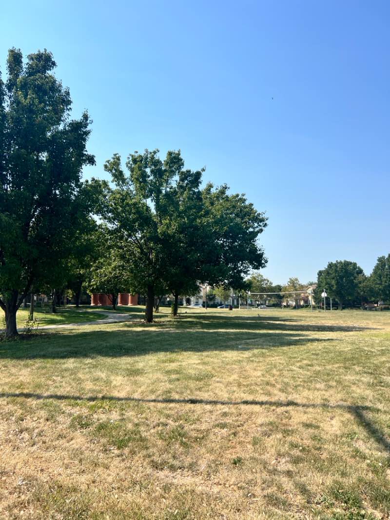 walking near me in North Natomas Regional Park in summer
