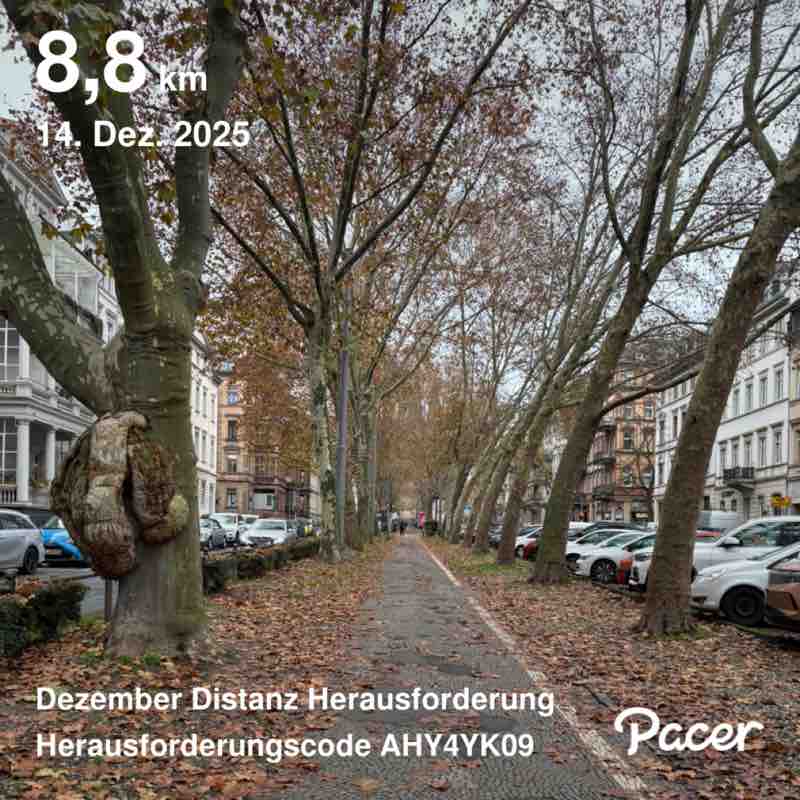 December Distance Challenge 🎭 Moni 🎭 post image