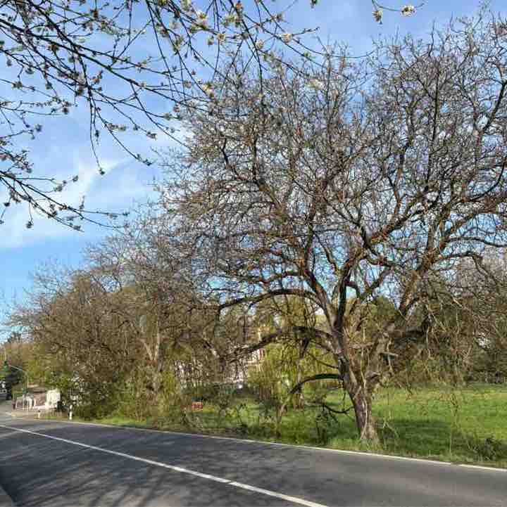 🎭 Moni 🎭 post 2