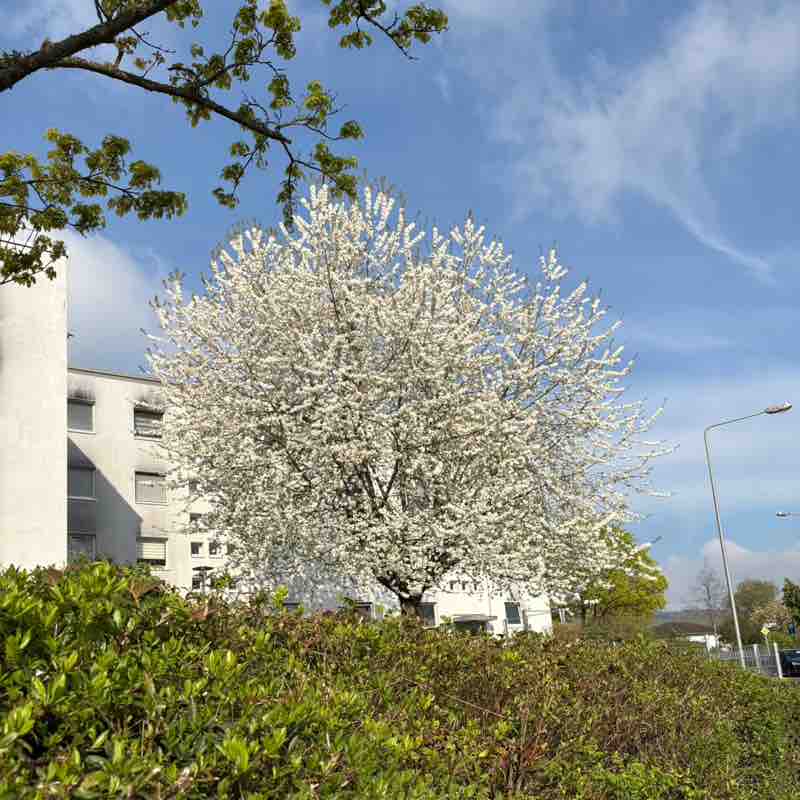 🎭 Moni 🎭 post 3