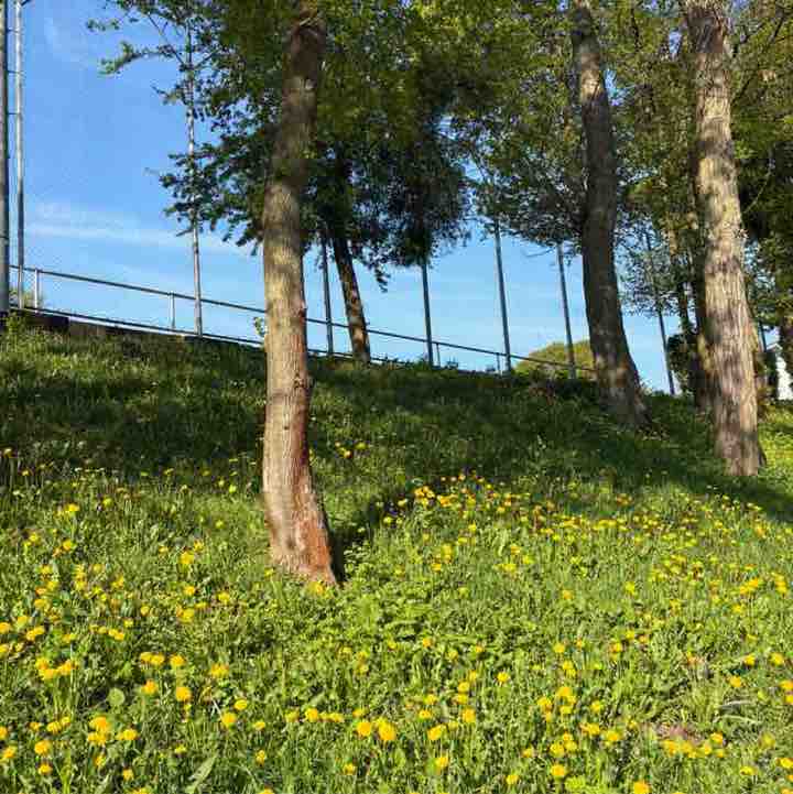 🎭 Moni 🎭 post 2