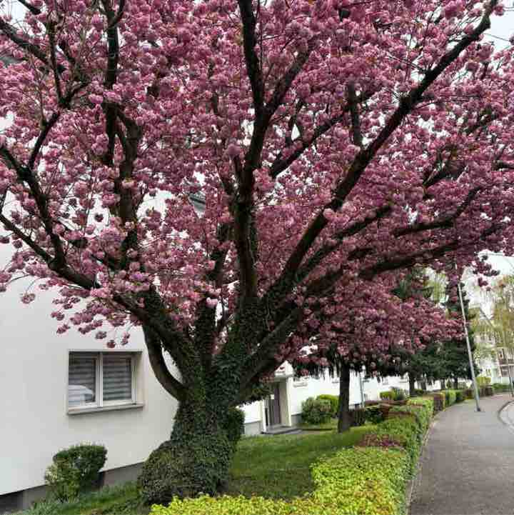 🎭 Moni 🎭 post 3